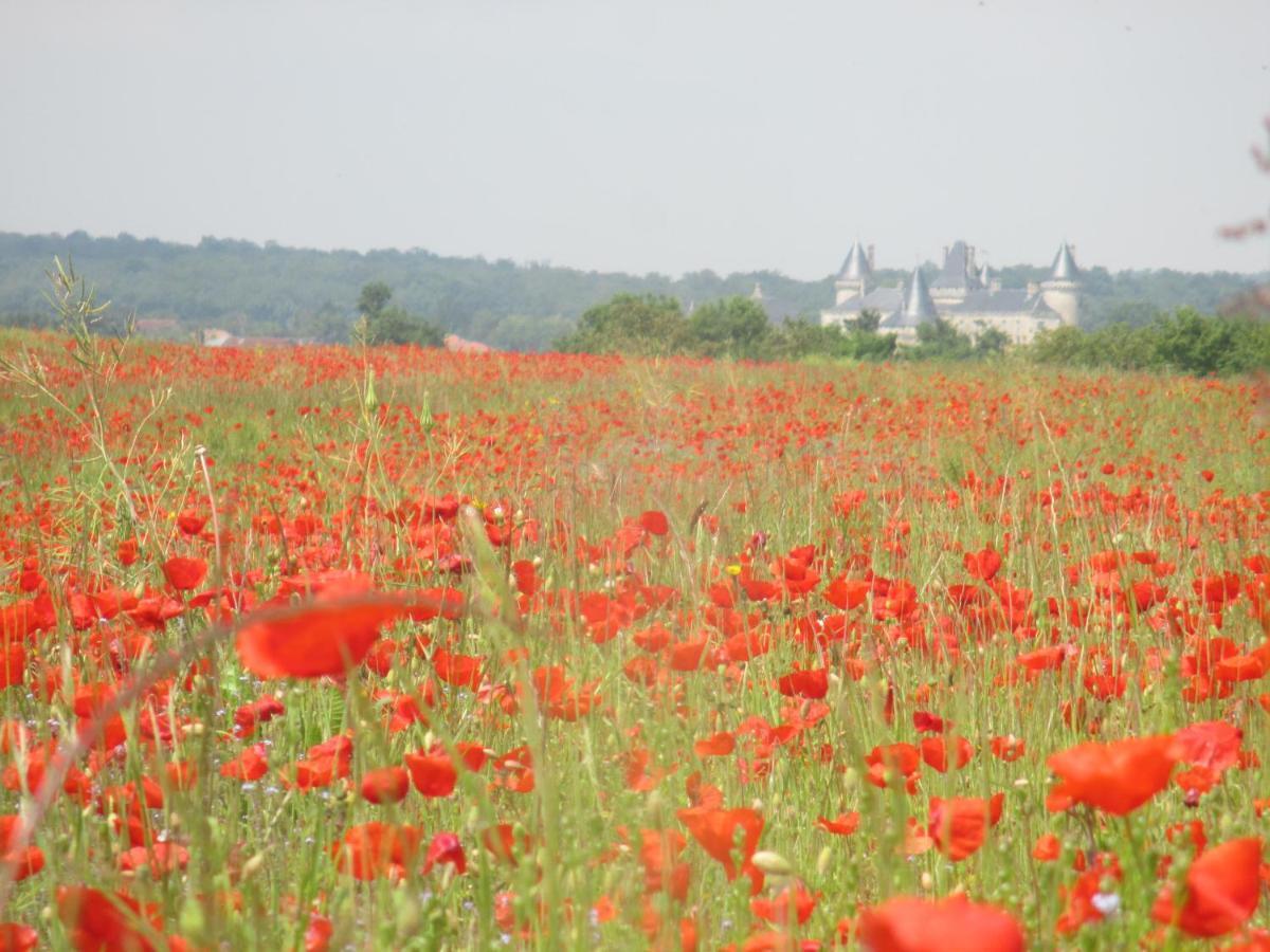Rue Des Douves Villa Verteuil-sur-Charente Kültér fotó